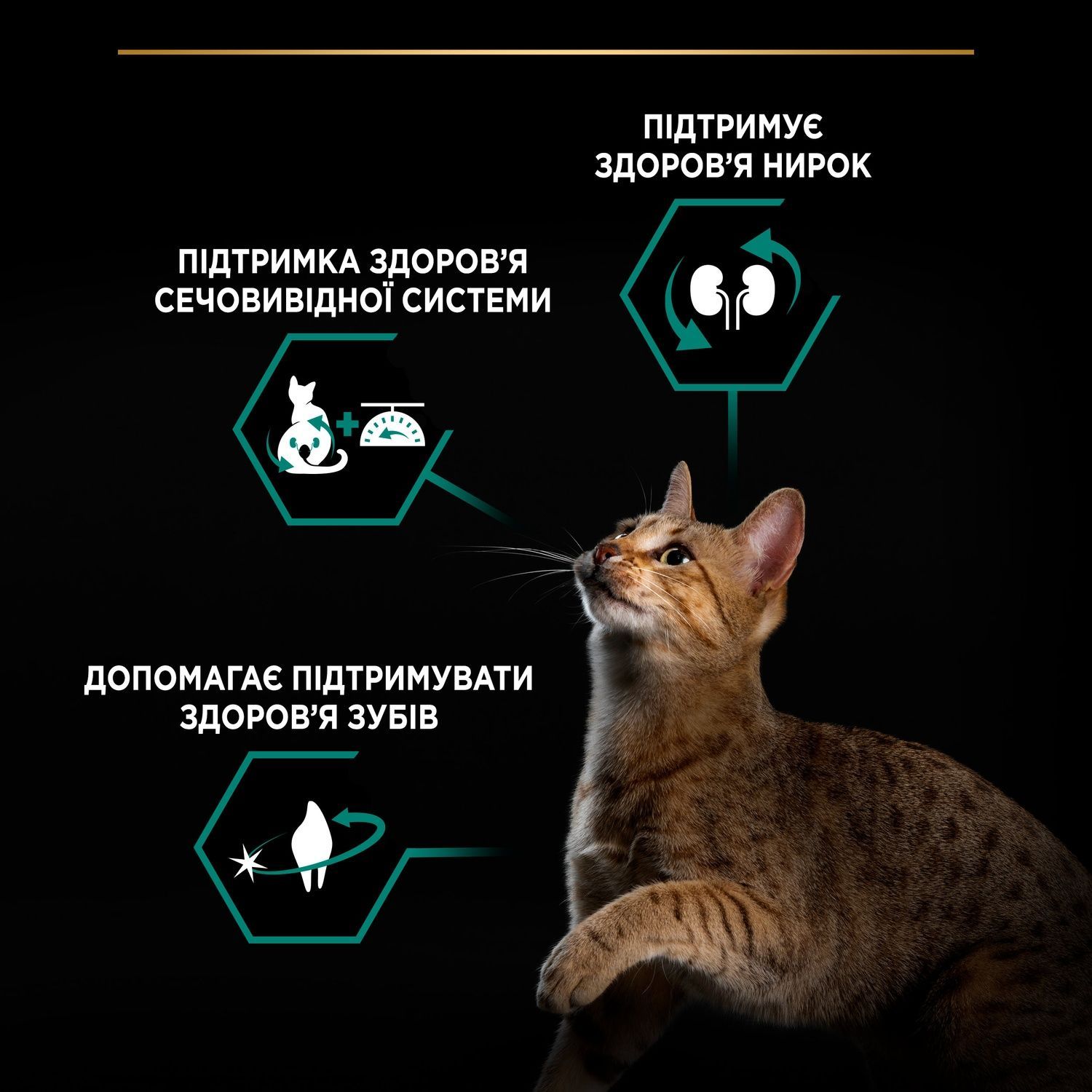 Сухой корм Purina PRO PLAN Sterilised Adult 1+ Renal Plus для стерелизованных кошек с индейкой 3 кг (7613033560033) 000086878 фото