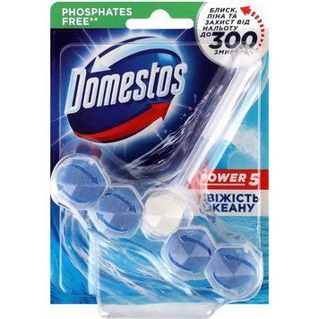 Блок для очищення унітазу Domestos Power 5 Свіжість океану 55 г. (8720182799425) В00313124 фото