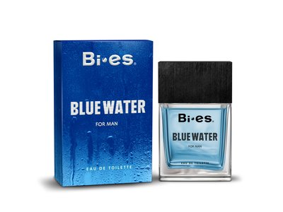 Туалетна вода Bi-es Blue Water для чоловіків 100 мл. (5902734840165) 000075788 фото