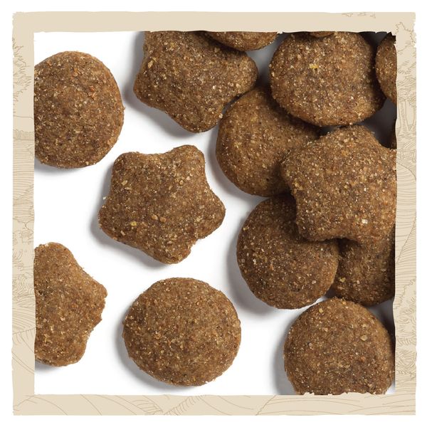 Сухой корм для щенков больших пород Dog Chow Puppy Large Breed с индейкой 14 кг (7613034487919) 000030028 фото