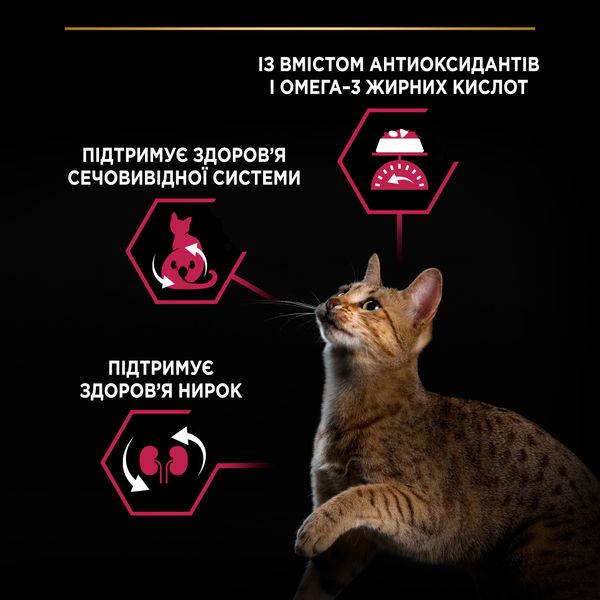 Сухой корм Pro Plan Sterilised Adult 1+ Savoury Duo для кошек, с треской и форелью 10 кг ( 7613036732697) 000076288 фото