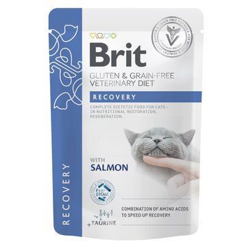 Корм влажный Brit GF VD Recovery для кошек с лососем 85 г (8595602566693) S1111183204 фото