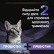 Пробіотик з пребіотиком Purina Pro Plan FortiFlora Plus для котів та кошенят для підтримання міклофлори кишечника 30 x 1.5 г(8445290507495)