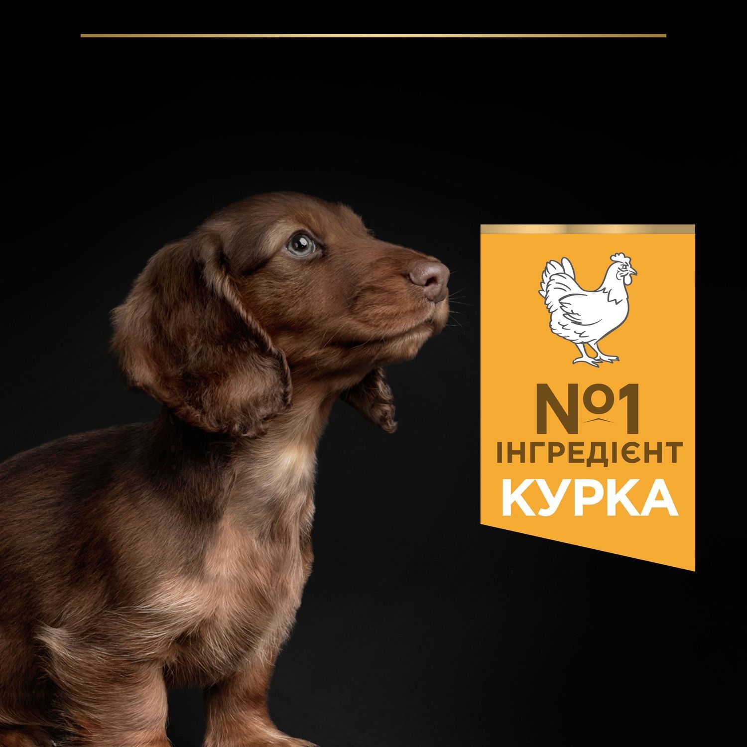 Сухі корми Purina Pro Plan Puppy Small and Mini OptiStart для цуценят малих та мініатюрних порід. 7 кг (7613035123366) 000073290 фото
