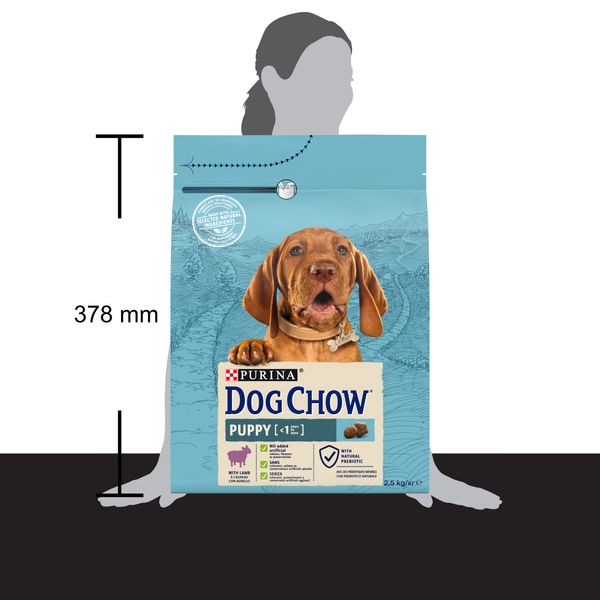 Сухой корм Dog Chow Puppy с Ягнем для щенков 2.5 кг (7613034488657) 000074865 фото