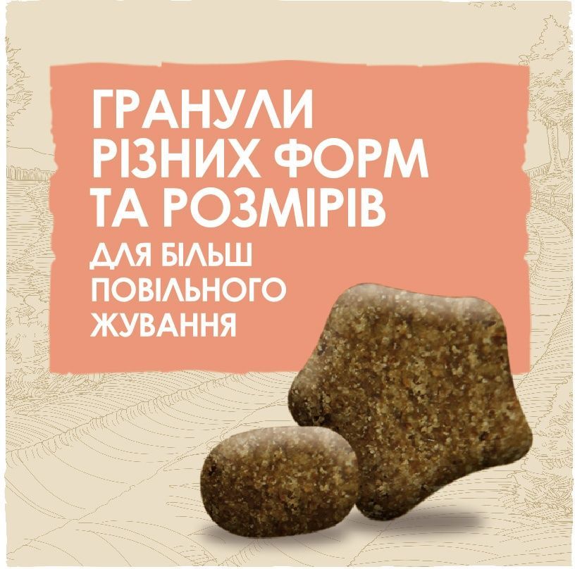 Сухий корм Dog Chow Sensitive для собак з чутливим травленням з лососем 2.5 кг (7613034488268) 000074866 фото