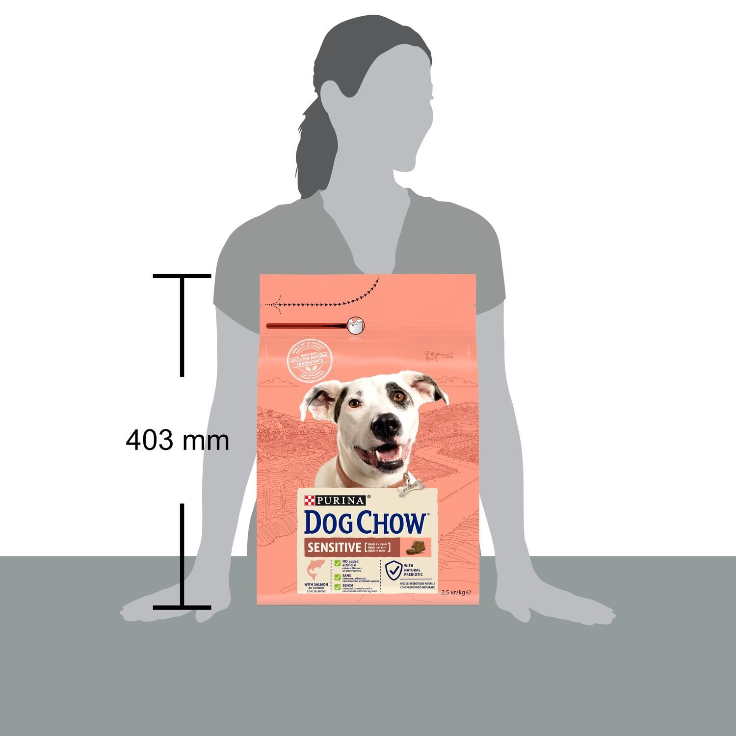 Сухий корм DOG CHOW Sensitive Adult 1+ для дорослих собак, схильних до алергії, з лососем 2.5 кг (7613034488268) 000073974 фото