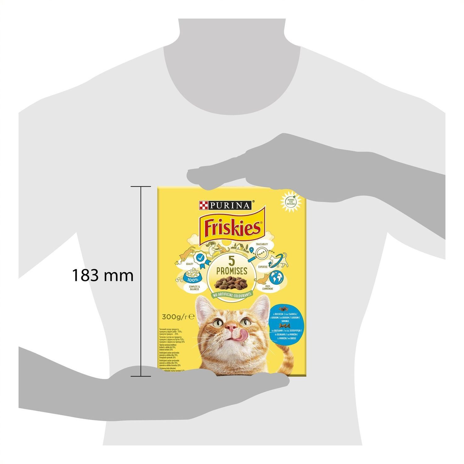 Сухой корм для кошек Purina Friskies с лососем и овощами 300г. (7613031868063) 000071753 фото