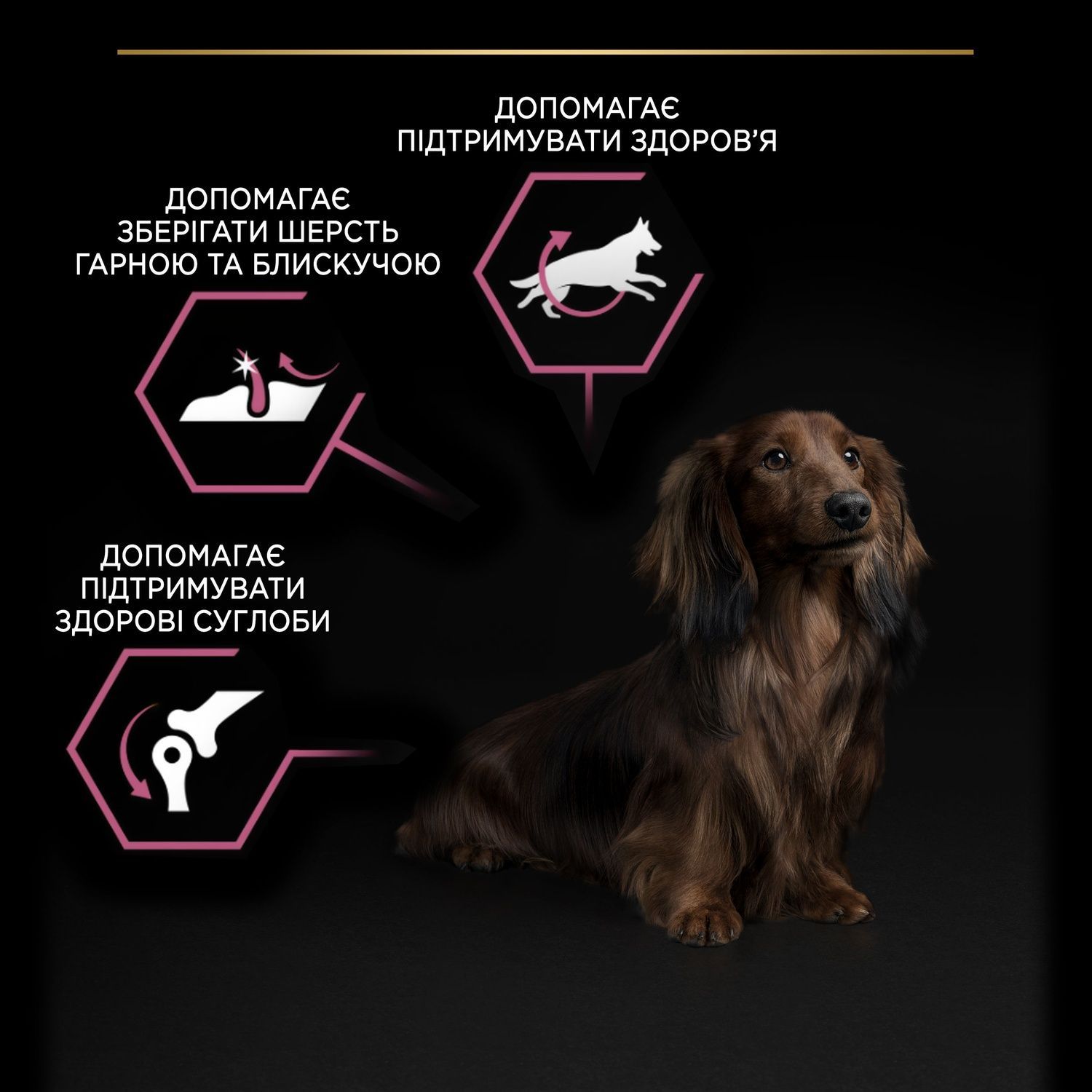 Сухой корм Purina Pro Plan Small&Mini Sensitive для собак малых пород с чувствительной кожей 7 кг (7613035123441) 000063059 фото