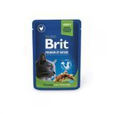 Корм влажный Brit Premium Cat Sterilised Chicken Slices pouch для стерилизованных кошек с курицей 100 г (8595602506033) S1111142143 фото