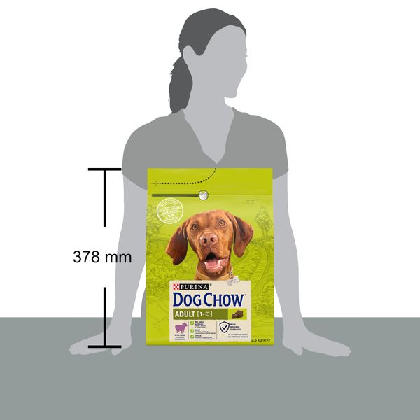 Сухой корм Dog Chow Adult для взрослых собак с ягненком 2.5 кг (7613034485946) 000074867 фото