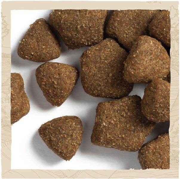 Сухой корм Dog Chow Adult для взрослых собак с ягненком 2.5 кг (7613034485946) 000074867 фото