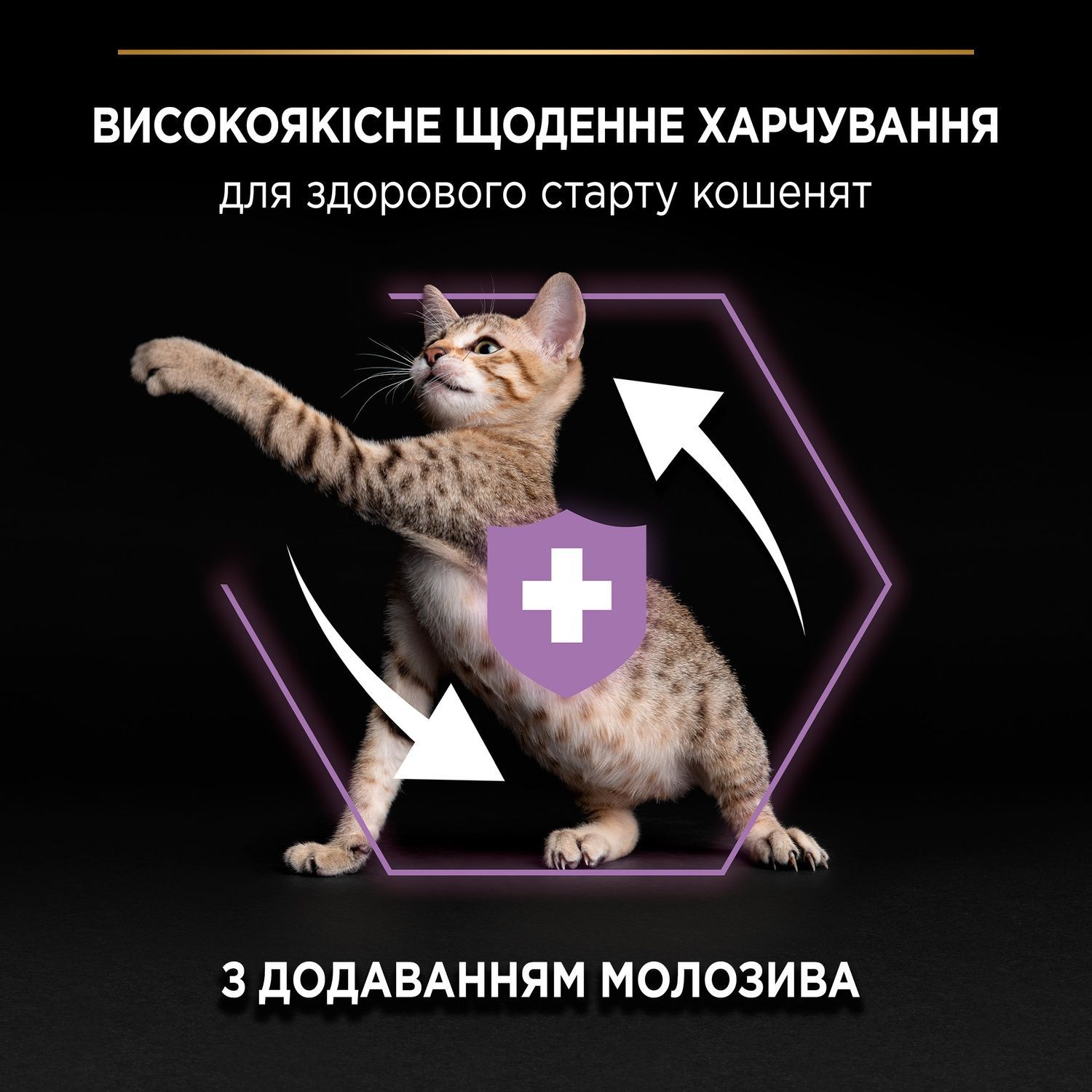 Сухой корм Purina Pro Plan Kitten 