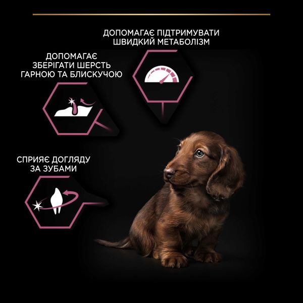 Сухой корм PRO PLAN Small&Mini Puppy Sensitive для щенков мелких пород с чувствительной кожей, с лососем 3 кг (7613035123809) 000073288 фото