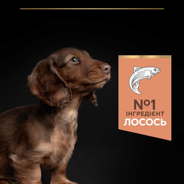 Сухой корм PRO PLAN Small&Mini Puppy Sensitive для щенков мелких пород с чувствительной кожей, с лососем 3 кг (7613035123809) 000073288 фото