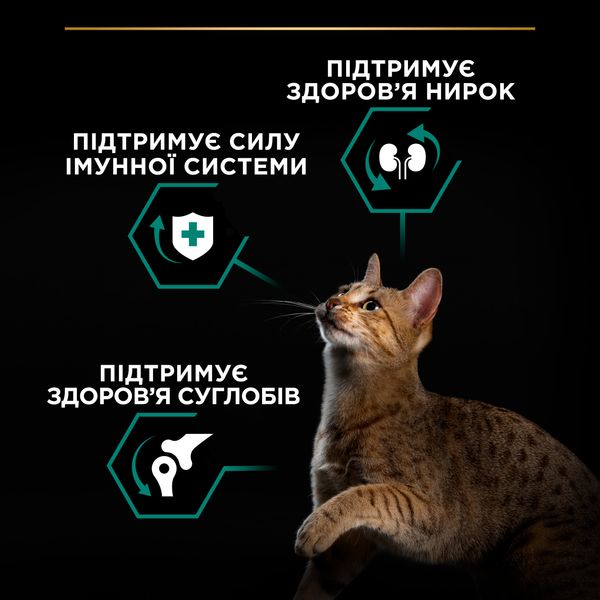 Сухий корм Pro Plan Adult 1+ Renal для дорослих котів з куркою 14 кг (7613287887733) 000078506 фото