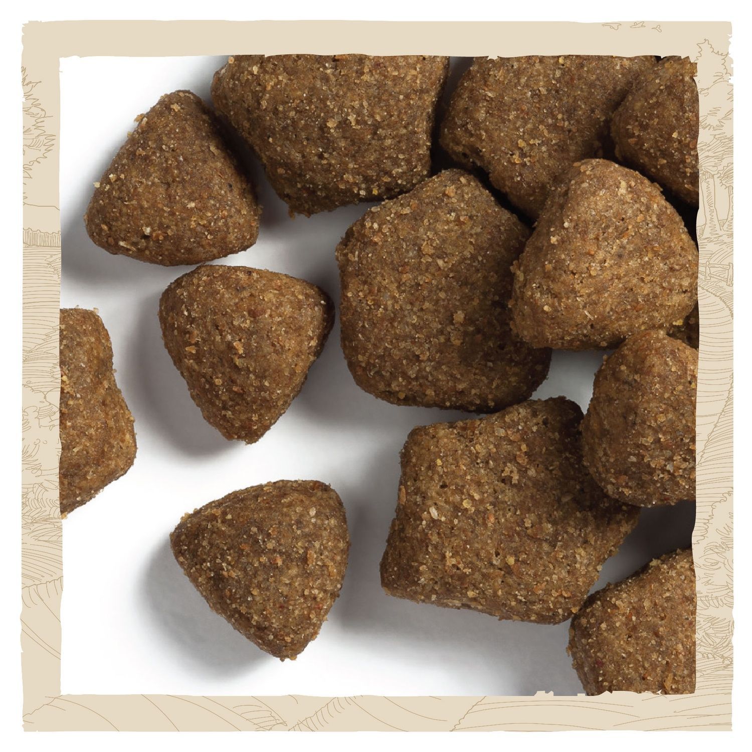 Сухий корм Dog Chow Large Breed для собак великих порід з індичкою 14 кг (7613034487926) 000030009 фото