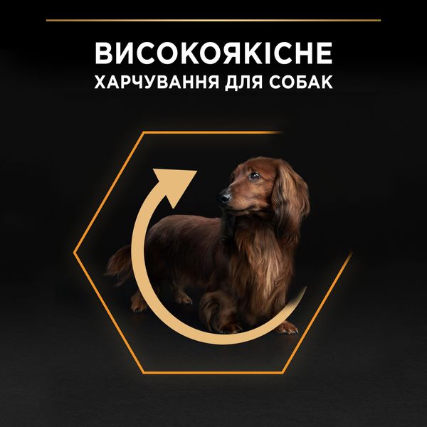 Сухой корм PRO PLAN Small&Mini Adult для взрослых собак мелких пород, с курицей 3 кг (7613035114920) 000029961 фото