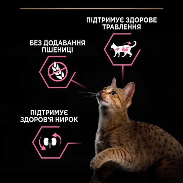 Сухой корм для кошек Purina Pro Plan Adult 1+ Delicate Digestion с чувствительным пищеварением, индейка 400 г (7613033568671) 000029928 фото