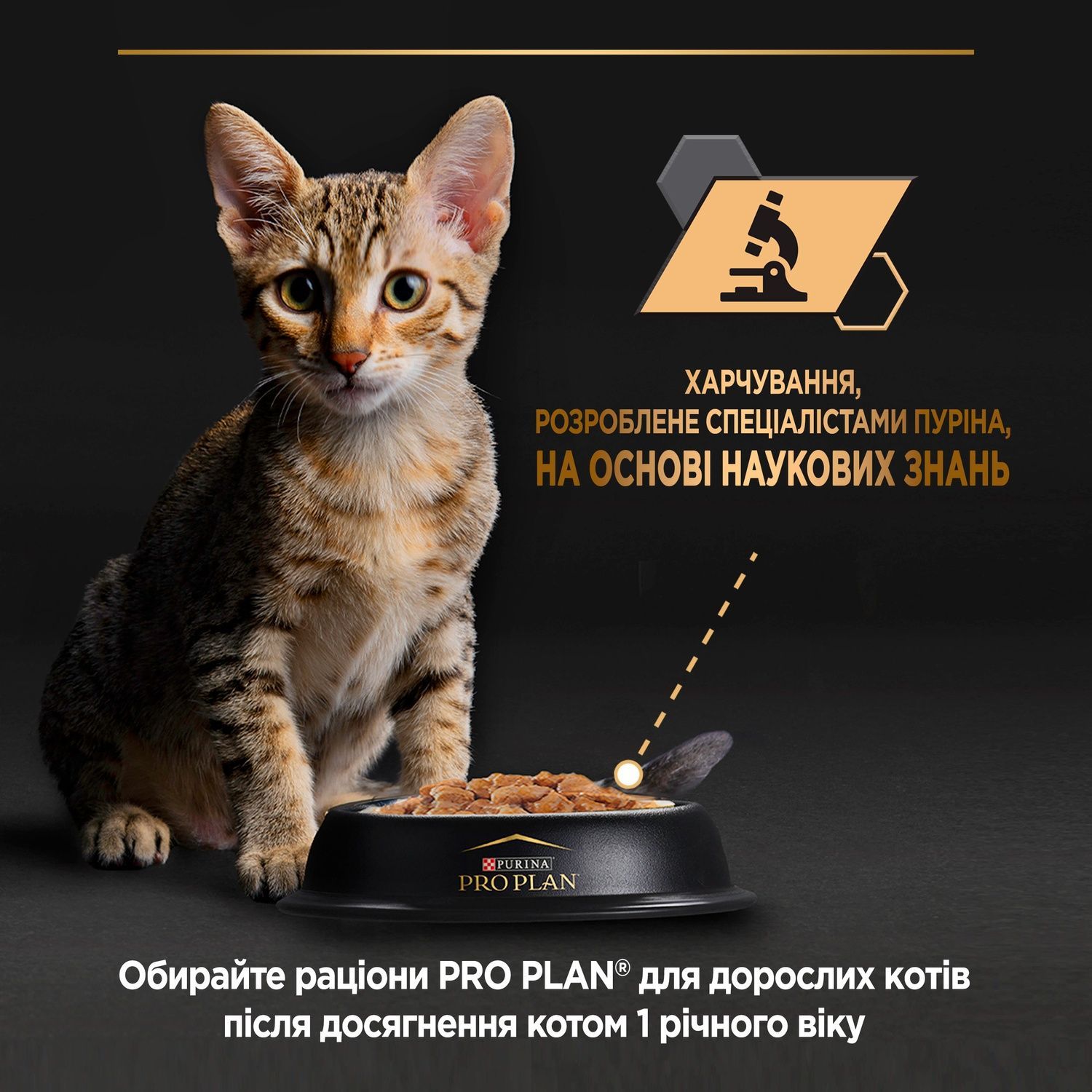 Влажный корм Purina Pro Plan Veterinary Diets Junior Паштет с курицей для кошек 85 г (8445290673688) 000077960 фото