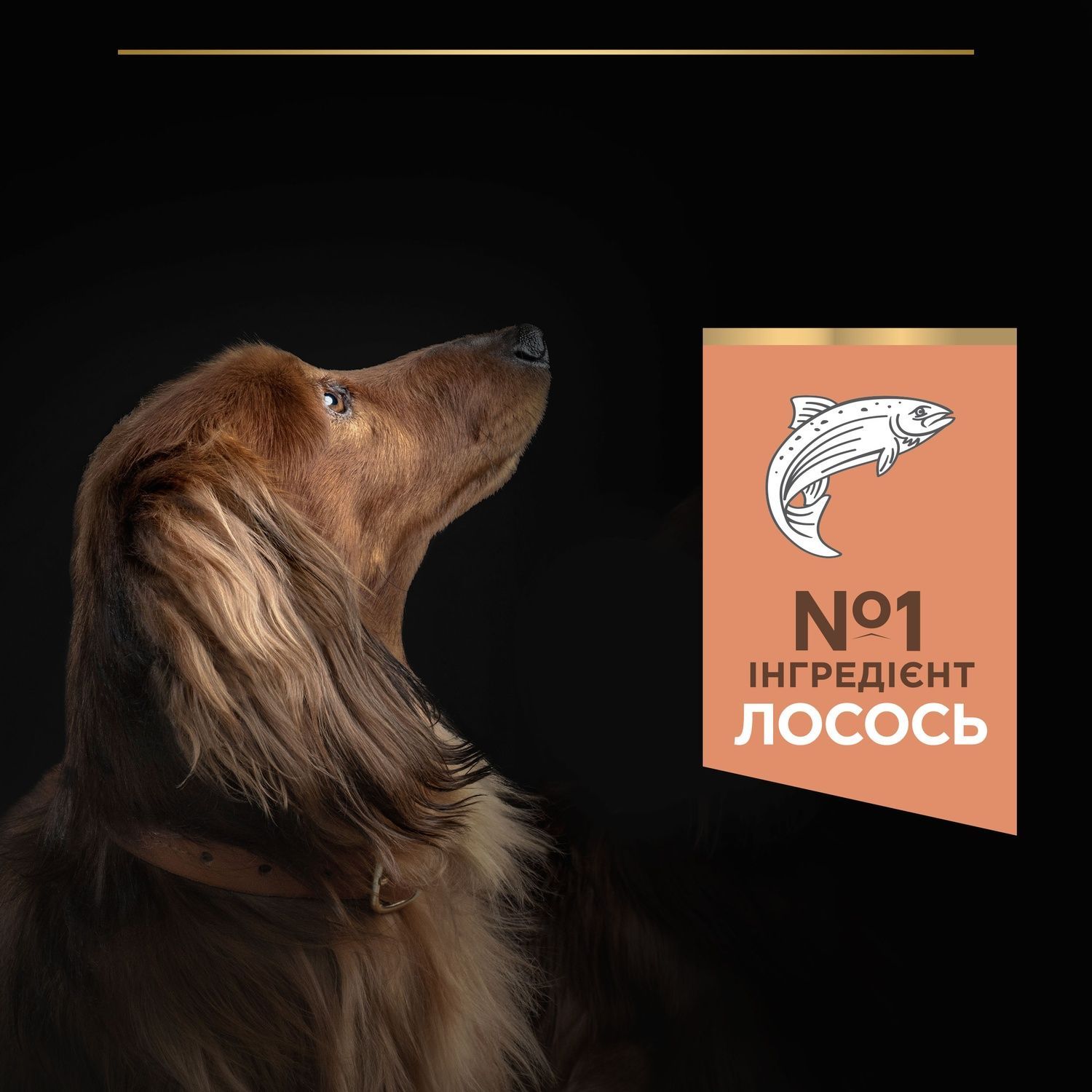 Сухий корм PRO PLAN Small&Mini Adult Sensitive для дорослих собак дрібних порід з чутливою шкірою, з лососем 3 кг (7613035114890) 000029978 фото