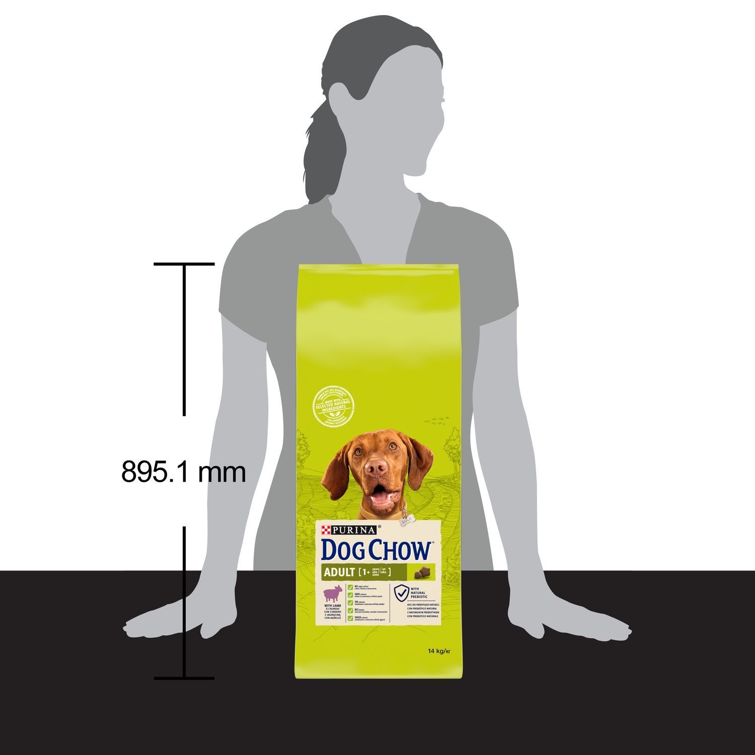 Сухий корм для собак Purina Dog Chow Adult з ягням 14 кг (7613034487636) 000030025 фото