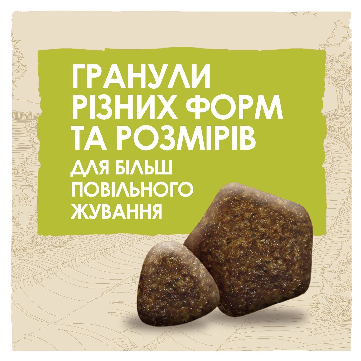 Сухий корм для собак Purina Dog Chow Adult з ягням 14 кг (7613034487636) 000030025 фото