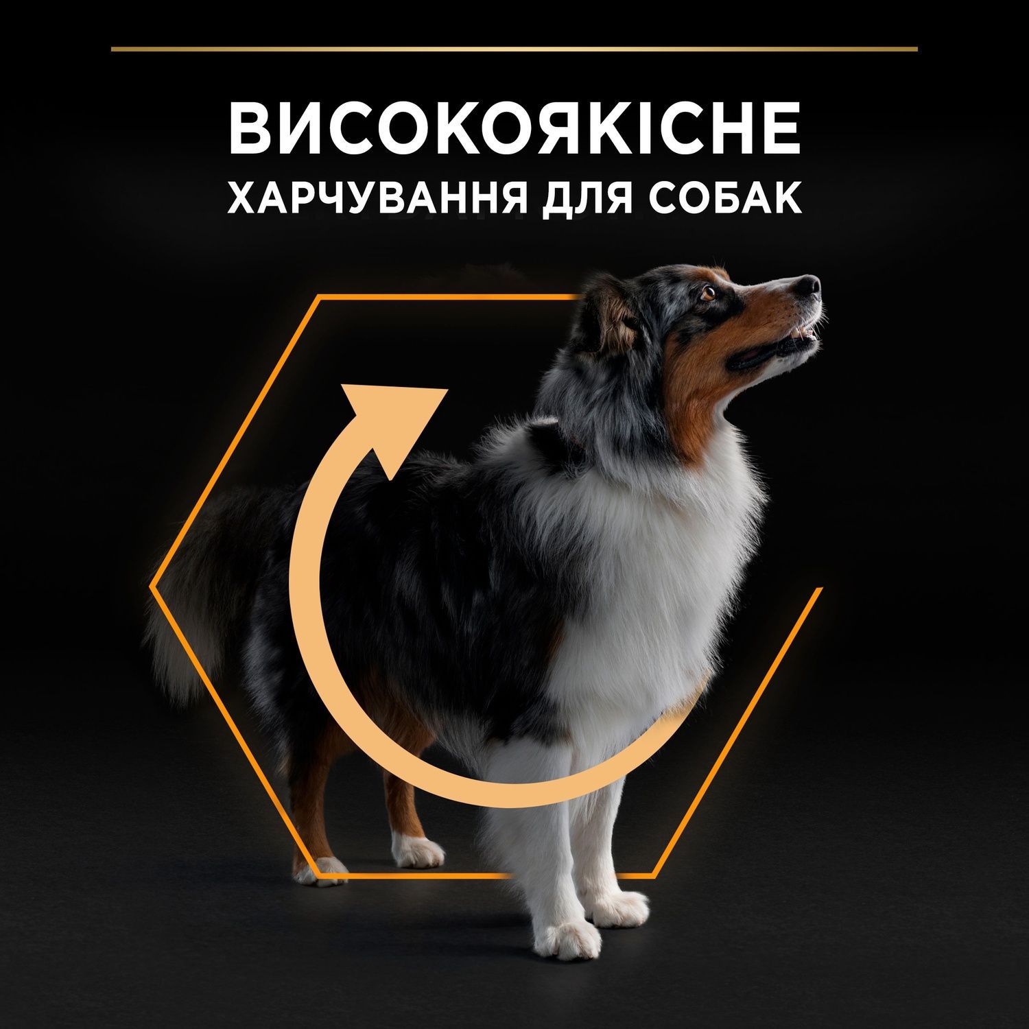Сухой корм PRO PLAN Medium Adult 1+ Everyday Nutrion для взрослых собак средних пород, с курицей 3 кг (7613035114807) 000029953 фото