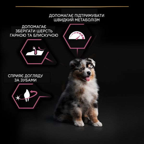 Сухий корм Purina Pro Plan Medium Puppy для цуценят середніх порід з чутливою шкірою з лососем 12 кг (7613035120389) 000030055 фото