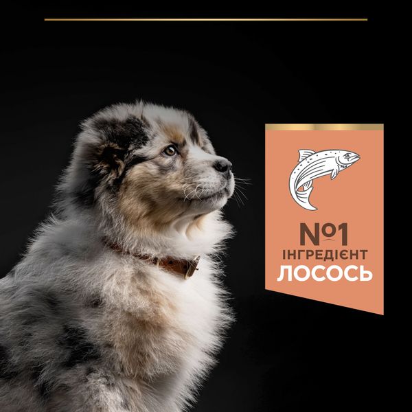 Сухой корм Purina Pro Plan Medium Puppy для щенков средних пород с чувствительной кожей с лососем 12 кг (7613035120389) 000030055 фото