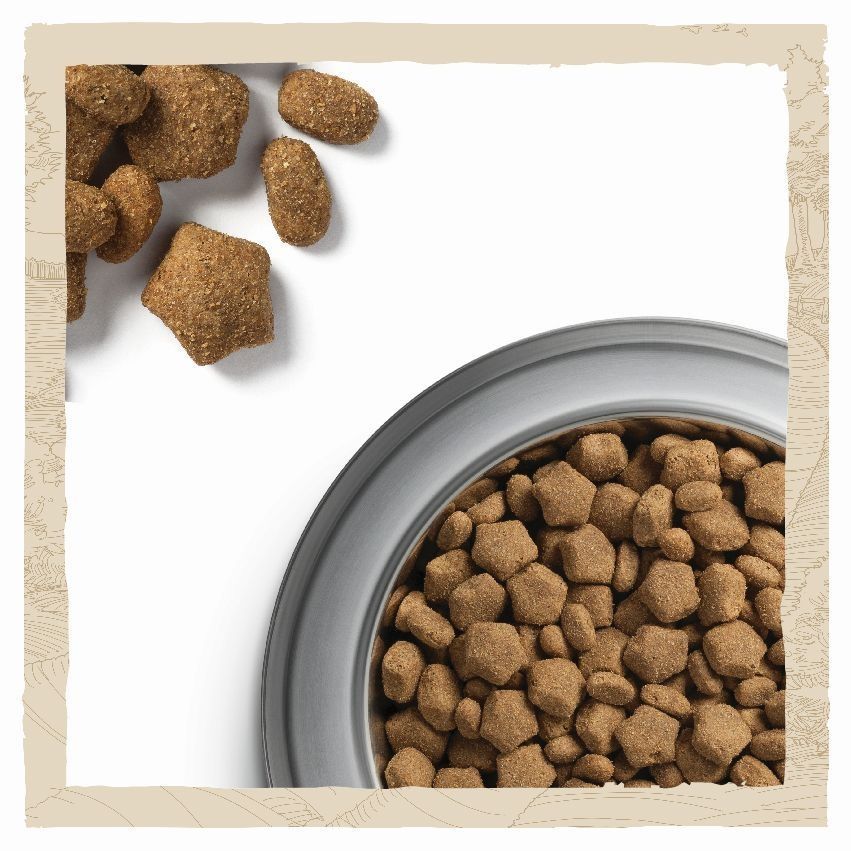 Сухий корм Dog Chow Sensitive для собак з чутливим травленням з лососем 14 кг (7613034488244) 000069962 фото