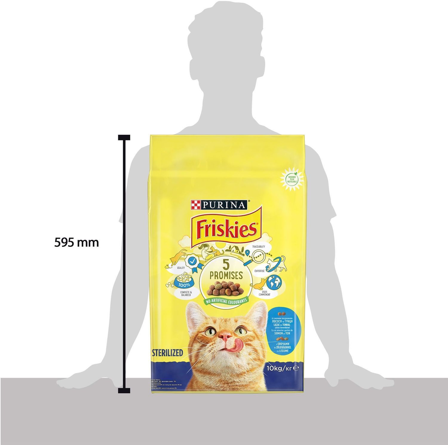 Сухий корм Purina Friskies Sterilized для стерилізованих котів з лососем, тунцем та овочами 10 кг.(7613033205064) 000071460 фото