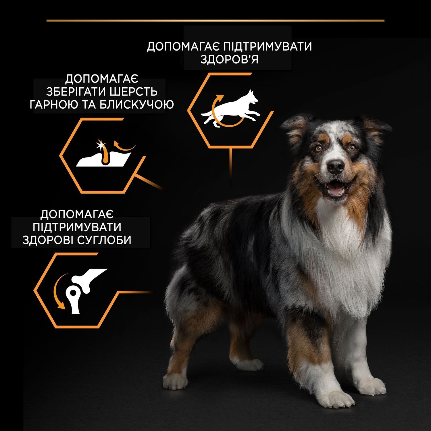 Сухой корм Purina Pro Plan Medium с курицей для собак. Средние породы 14 кг (7613035120488) 000061923 фото