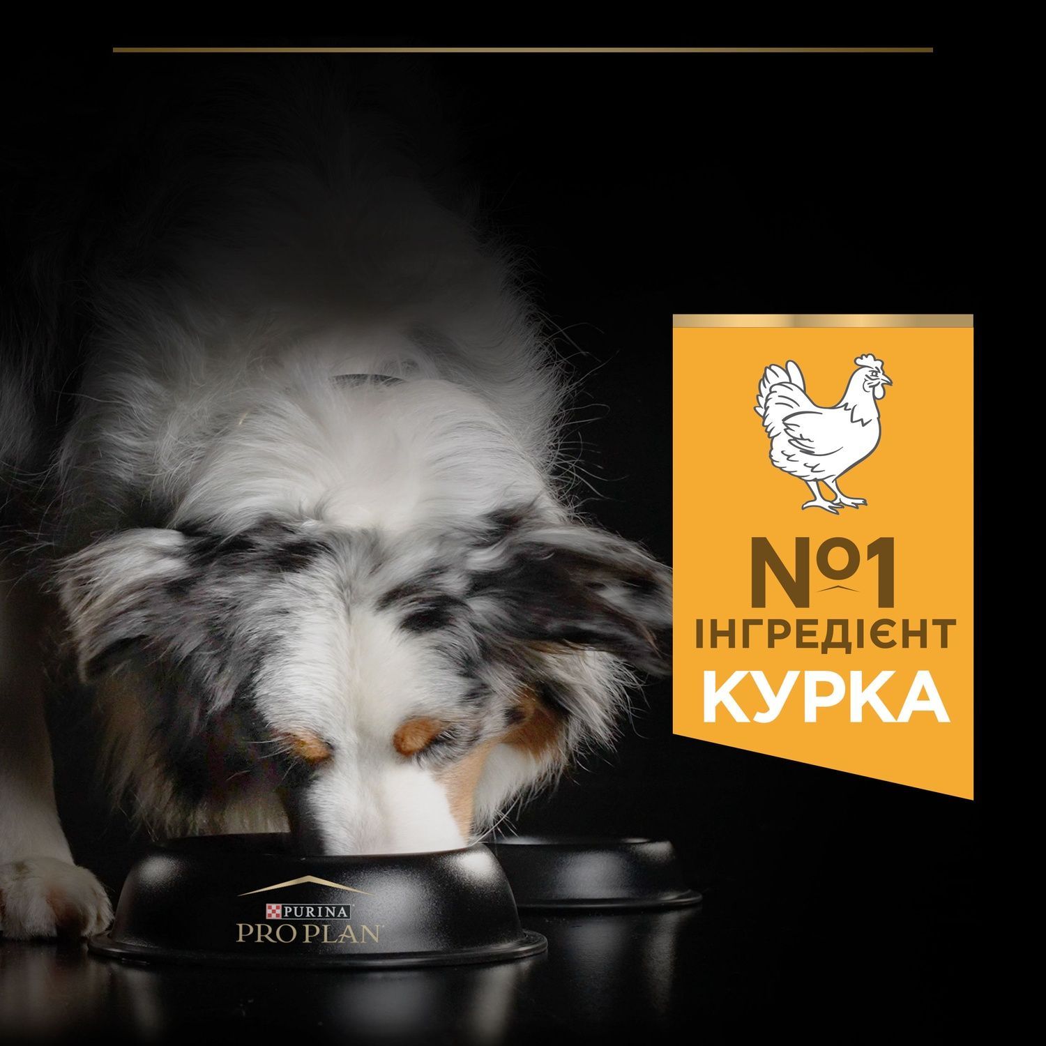 Сухой корм Purina Pro Plan Medium с курицей для собак. Средние породы 14 кг (7613035120488) 000061923 фото