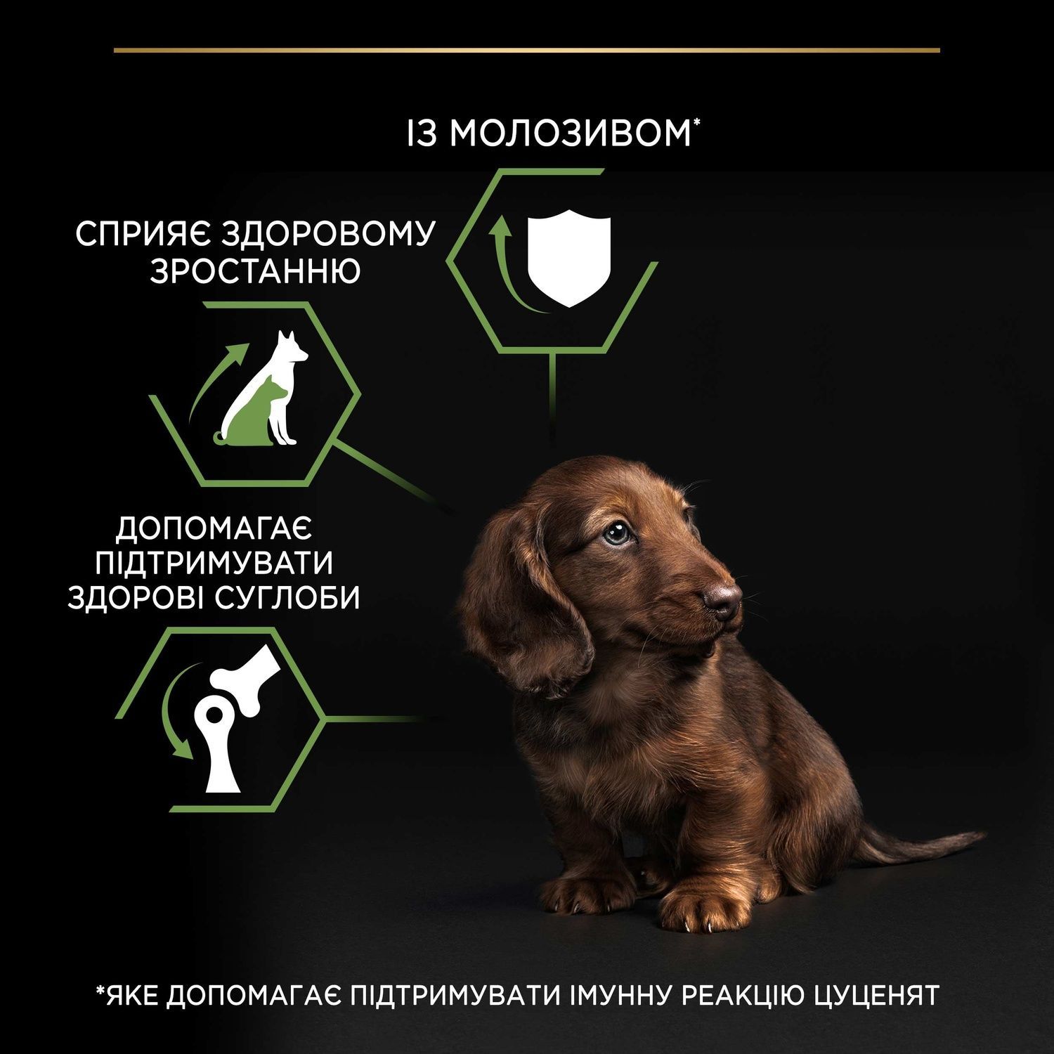 Сухий корм PRO PLAN Small & Mini Puppy для цуценят дрібних порід комплекс, з куркою 700 г (7613035118744) 000029925 фото