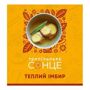 Чай Трипільське Сонце Теплий імбир 1.3 г х 20 шт. (4823118604542) 000084277 фото