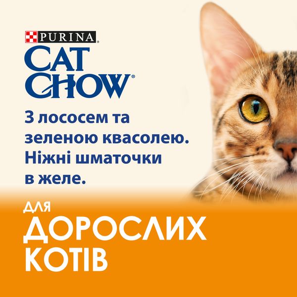 Влажный корм CAT CHOW Adult для взрослых кошек, кусочки в желе с лососем и зеленой фасолью 85 г (7613036595063) 000076988 фото