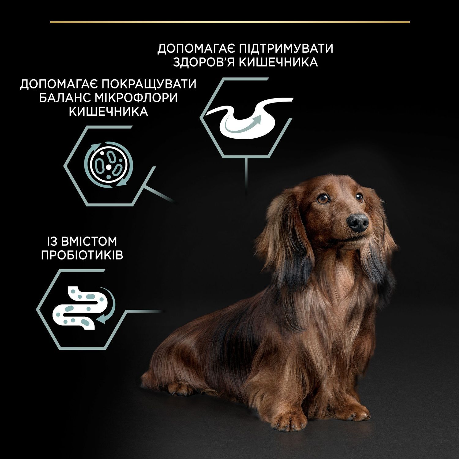 Сухий корм PRO PLAN Small&Mini Adult Sensitive Digestion для собак з чут.шкірою, з ягням 700 г(7613036611299) 000029937 фото