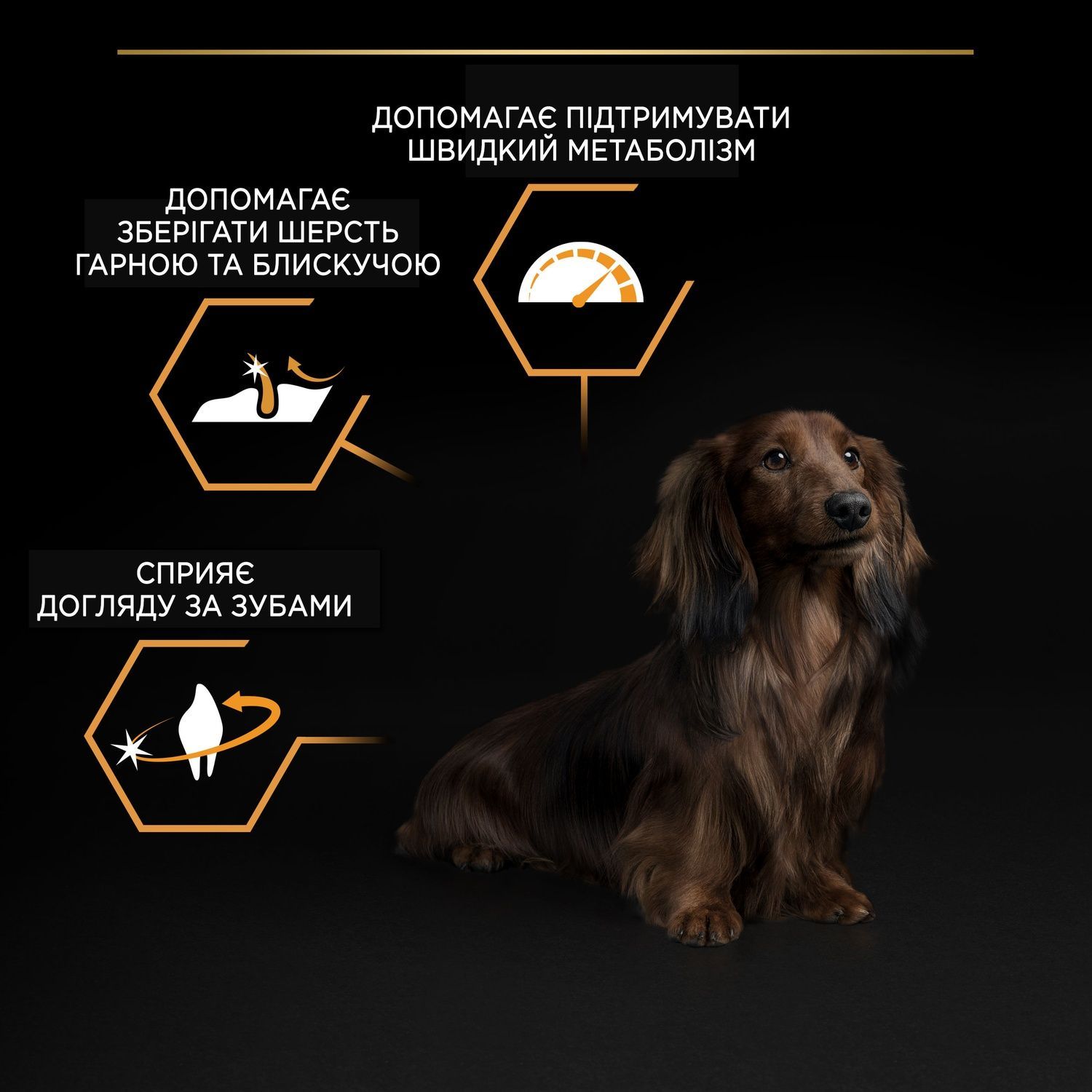Сухий корм PRO PLAN Small&Mini Adult для дорослих собак дрібних порід, з куркою 3 кг (7613035114920) 000062512 фото