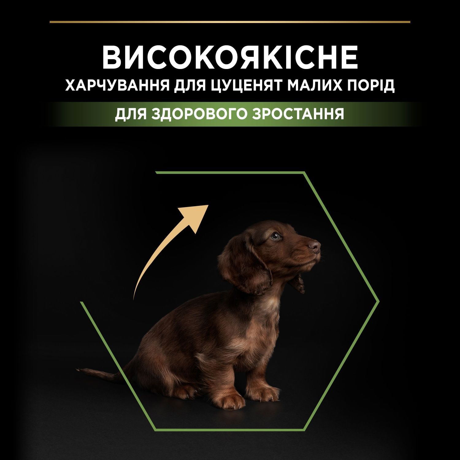 Сухий корм PRO PLAN Small&Mini Puppy 