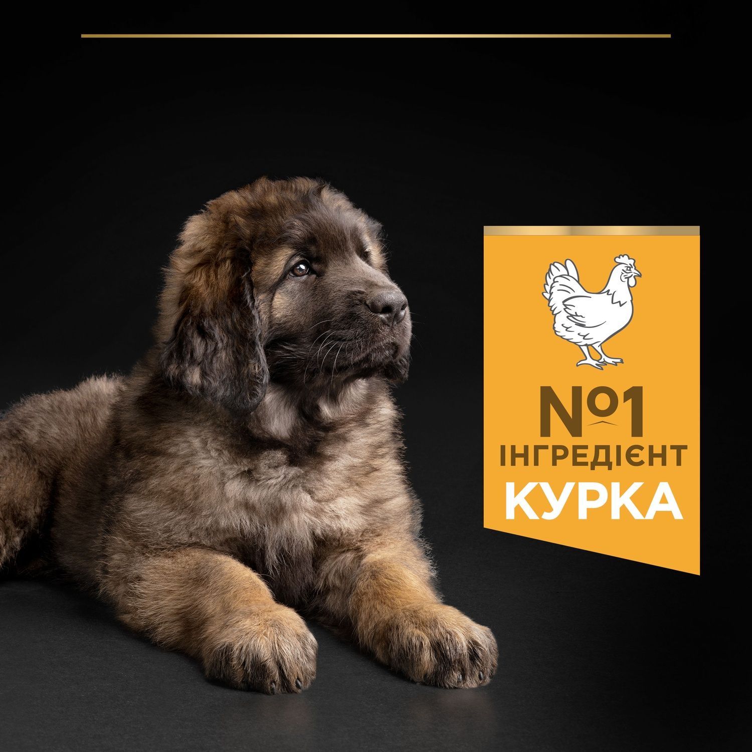 Сухой корм для щенков больших пород Purina Pro Plan Dog Large Puppy Robust с курицей 12 кг (7613035120341) 000029986 фото