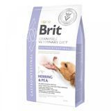 Корм сухой Brit Grain VetDiet Dog Gastrointestinal для взрослых собак с нарушением пищеварения с селедкой лососем и горохом 12 кг (8595602528127) S1111151945 фото