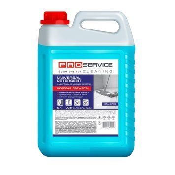Средство для мойки универсальное PRO service Морская свежесть SD 5 л. (4823071622058) 000081742 фото