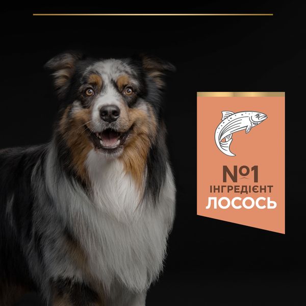 Сухий корм для дорослих собак середніх порід з чутливою шкірою Purina Pro Plan Medium Adult 1+ Sensitive Skin з лососем 14 кг (7613035120464) 000072399 фото