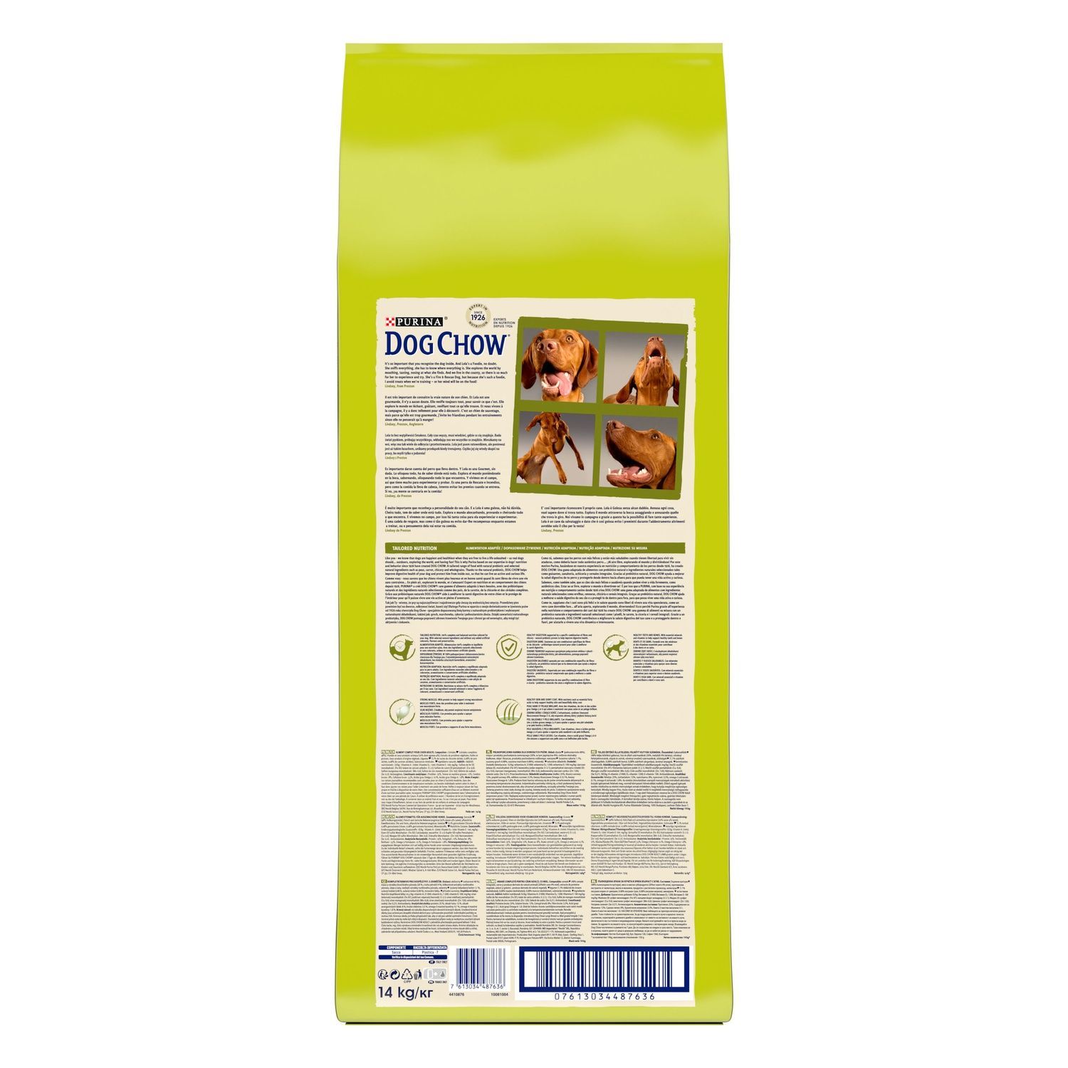 Сухий корм для собак Purina Dog Chow Adult з ягням 14 кг (7613034487636) 000064640 фото