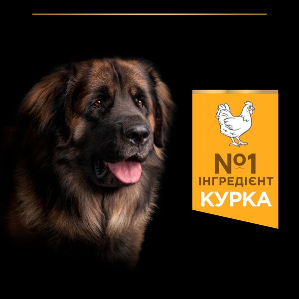 Сухой корм для взрослых собак больших пород Purina Pro Plan Large Robust Adult 2+ Everyday Nutrion с курицей 14 кг. 000030056 фото