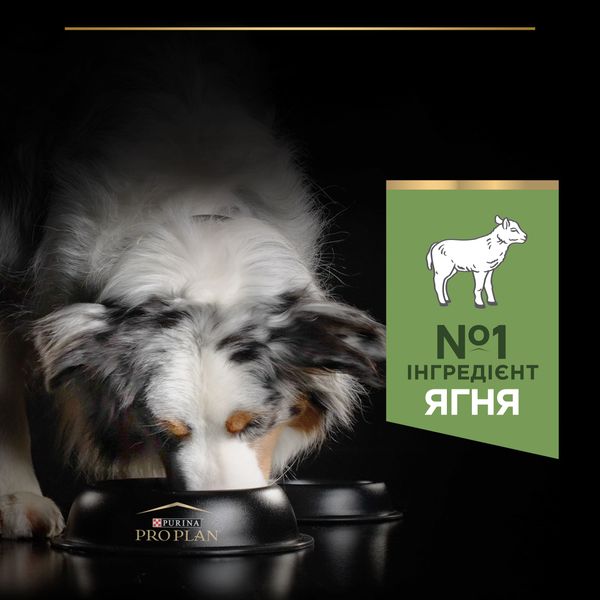 Сухой корм для собак Purina Pro Plan Medium с ягненком 14 кг (7613035214774) 000073590 фото