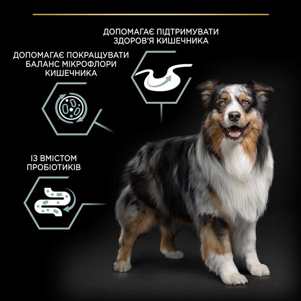 Сухой корм для собак Purina Pro Plan Medium с ягненком 14 кг (7613035214774) 000073590 фото