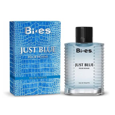 Туалетна вода Bi-es Just Blue для чоловіків 100 мл. (5902734841902) 000075773 фото