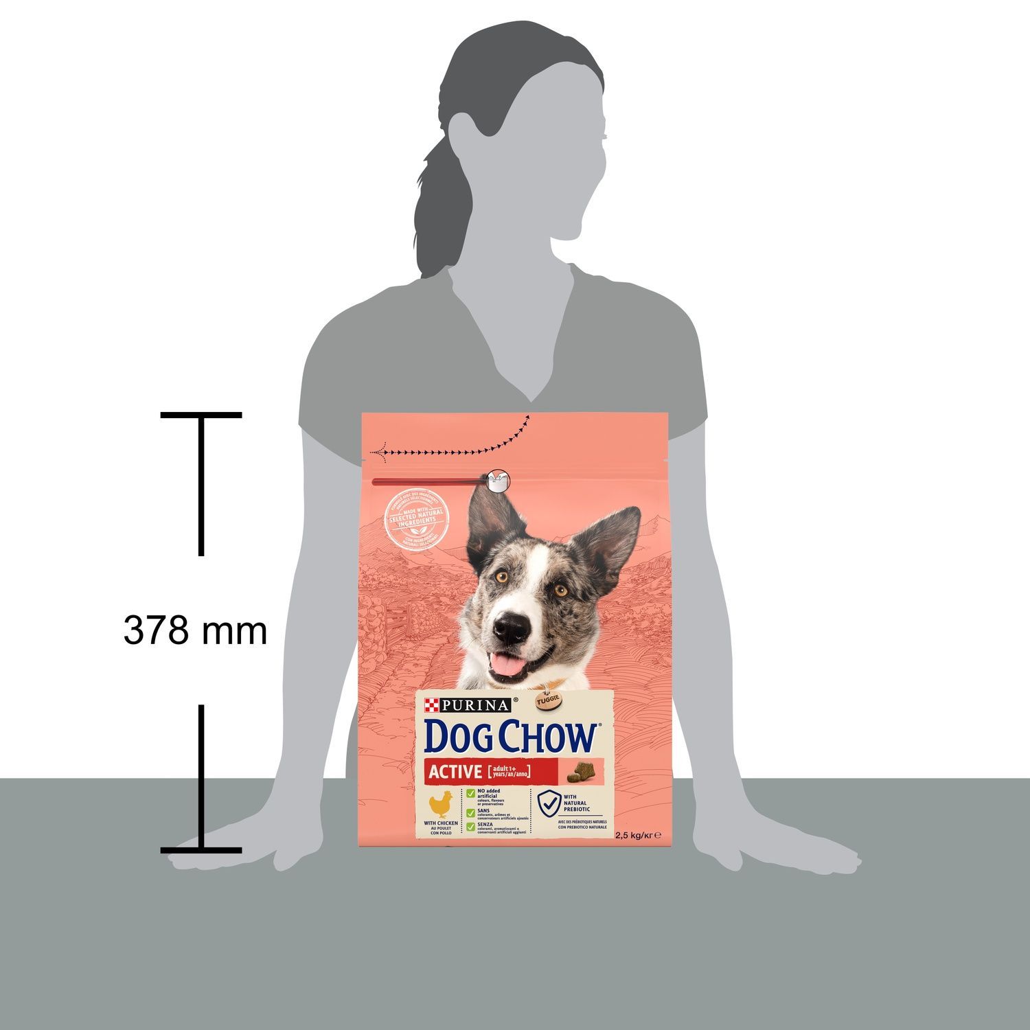 Сухой корм Dog Chow Adult Active для активных взрослых собак с курицей 2,5 кг ( 7613034487858) 000074256 фото